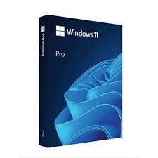 Microsoft Windows 11 Pro 64 bit DVD